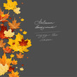 © paprika - Autumn leaves design
