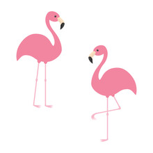 Two Pink Flamingo Set. Exotic Tropical Bird. Zoo Animal Collection. Cute Cartoon Character. Decoration Element. Flat Design. White Background. Isolated.