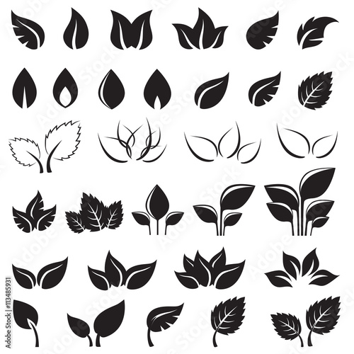 фотография Set of black leaves design elements isolated