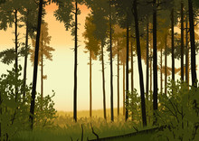 Forest Landscape Illustration