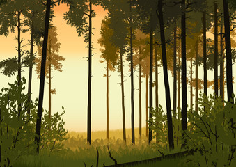 forest landscape illustration