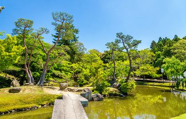 Canvas Print - Grounds of Nara Park in Kansai Region - Japan