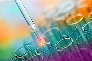 Wall Mural - colorful science laboratory test tubes