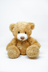 toy teddy bear isolated on white background