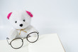 bear and glasses on opened notebook in white backgrond
