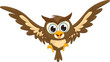 cute owl cartoon flying