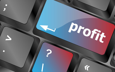 Poster - profit button on keyboard keys - business concept . keyboard keys. vector illustration