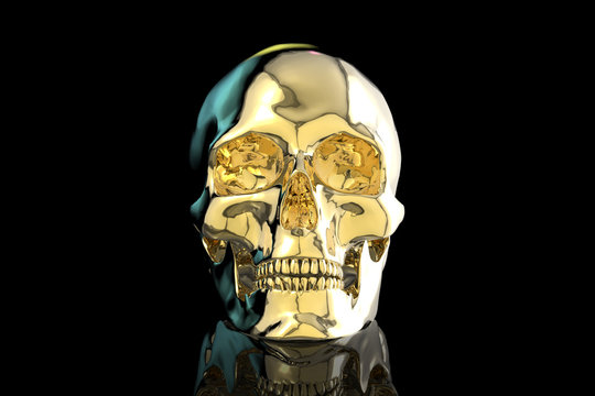 Human Skull / 3D Rendering