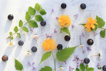 Poster - Beautiful summer/ spring background with fresh flowers and leaves on white