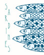 Vector sardines illustration
