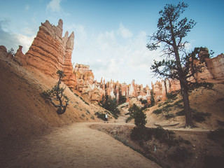 Wall Mural - bryce canyon
