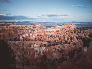 Wall Mural - bryce canyon
