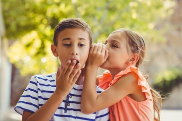 Wall Mural - Girl whispering a secret in boys ear