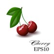 Red cherry on a white background