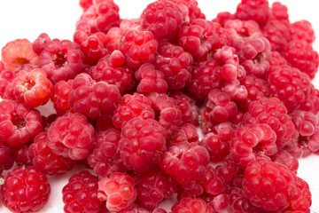 Wall Mural - Ripe raspberry on a white background