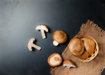 Sticker - Shiitake mushroom on wooden table