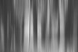 © Jne Valokuvaus - Abstract art for background use. An image of a forest processed with a motion blur effect. The color tone is black and white.