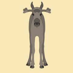 young elk face realistic vector illustration gray