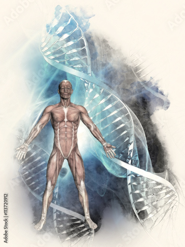 3d-sketched-medical-background-with-male-figure-and-dna-strands