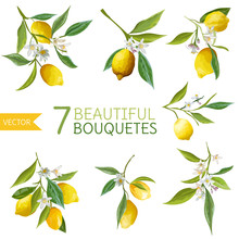 Vintage Lemons, Flowers And Leaves. Lemon Bouquetes. Watercolor