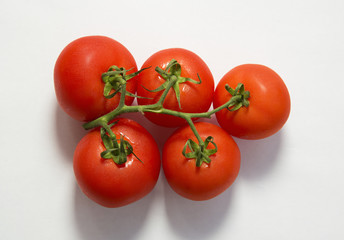 Wall Mural - Fresh red tomatoes on a green branch on white background