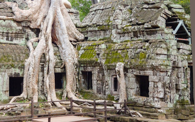 Wall Mural - Temple detail at Ankor Thom