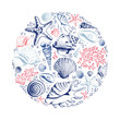 Vector card with seashells, corals and starfishes
