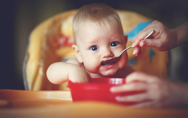 Wall Mural - mother feeding baby boy with a spoon