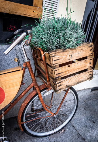 Fototapeta na drzwi i meble Rozmaryn w drewnianym pudełku na bicyklu, Mercado San Miguel, Madryt, Hiszpania.