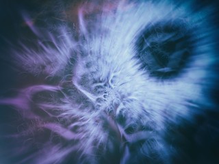Wall Mural - abstract background image