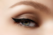 Cosmetics & make-up. Beautiful female eye with sexy black liner