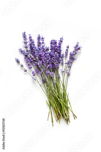 Lavender flowers on white background Canvas Print