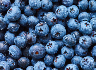 blueberry with drops of water