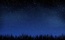 Deep Night Sky With Many Stars And Grass