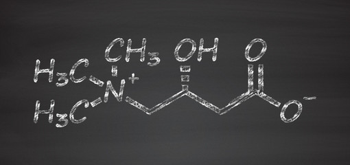 Poster - Carnitine food supplement molecule, chemical structure