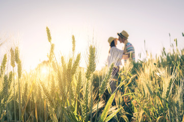 Couple of lovers kissing in a wheat field