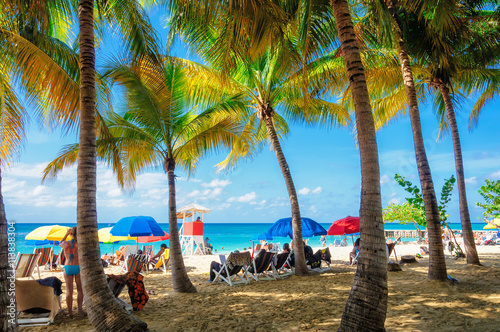 Palm Trees On Jamaica Beach In Montego Bay Buy This Stock