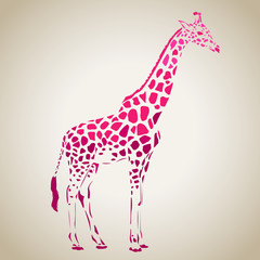 Vector giraffe silhouette, abstract animal illustration. Safari giraffe can be used for background, card, print materials