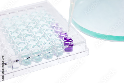 pipette test sample research test lab elisa buy this stock elisa lab