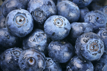 Wall Mural - Blueberries close-up background