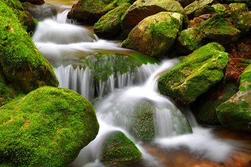 Mountain creek in the National park Sumava-Czech Republic