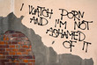 I Watch Porn And I Am Not Ashamed Of It - handwritten graffiti sprayed on the wall, anarchist aesthetics - Appeal to fight against hypocritical conservatism and prudery