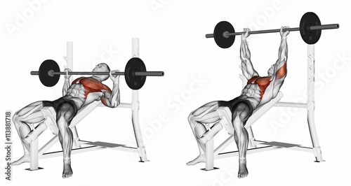 Press Of A Bar Lying On An Incline Bench Exercising For Bodybuilding Target Muscles Are Marked In Red Initial And Final Steps 3d Illustration Stock イラスト Adobe Stock Press Of A Bar Lying On An Incline Bench Exercising For Bodybuilding Target Muscles Are Marked In Red Initial And Final Steps 3d Illustration Stock イラスト Adobe Stock