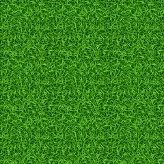 Seamless green grass vector pattern