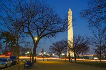 Wall Mural - Washington Monument in Washington DC at night