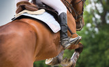 Fototapeta Konie - Horse riding dressage