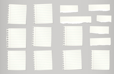 Poster - Pieces of torn beige ruled notebook paper are stuck on gray background
