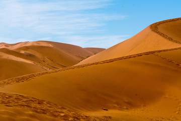  Scenery of the dunes of sossusflei