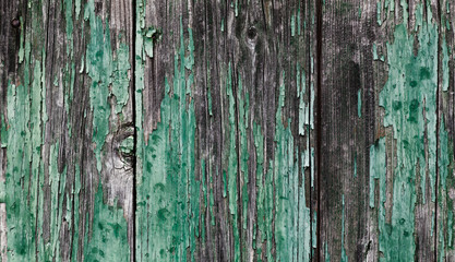 Wall Mural - green painted wood