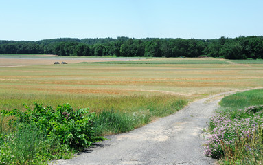 plowed spring farm field 